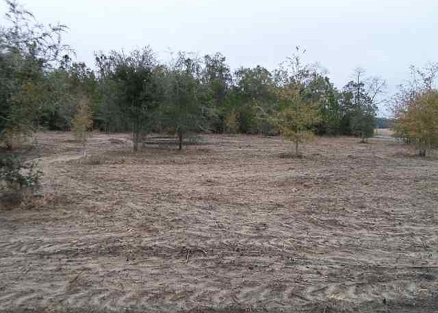 1st image of Vacant Ne Delphinium Dr #0