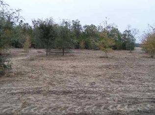 Vacant Ne Delphinium Dr #0, Madison, FL 32340