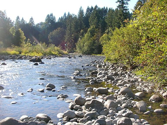 East fork of the Lewis