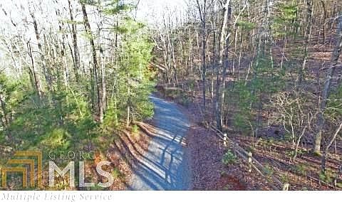 4th image of 0 Black Bear Dr #12