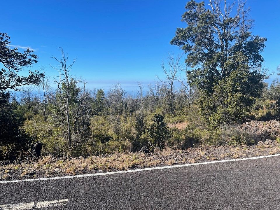 2nd image of Lot 2
