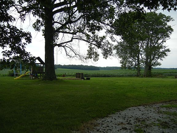 Back yard