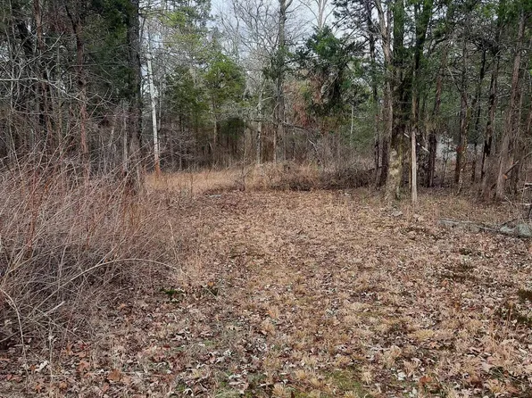 (undisclosed Address), Mountain View, AR 72560