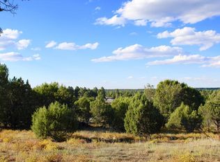 1581 N 22nd Ave, Show Low, AZ 85901