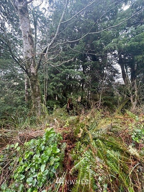 2nd image of 0 x Hwy 105