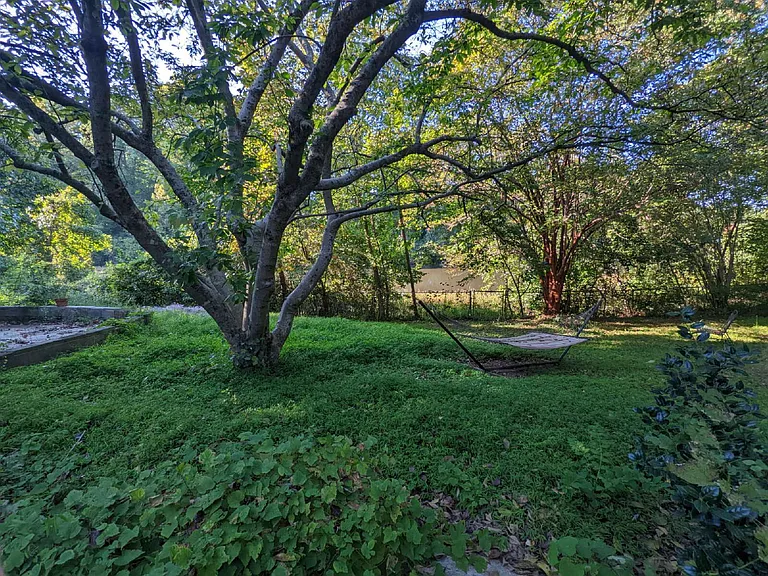 714 Sardis Dr — Photo 16