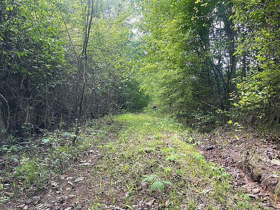 5th image of Off Of Reges Store Rd Lot Wp001