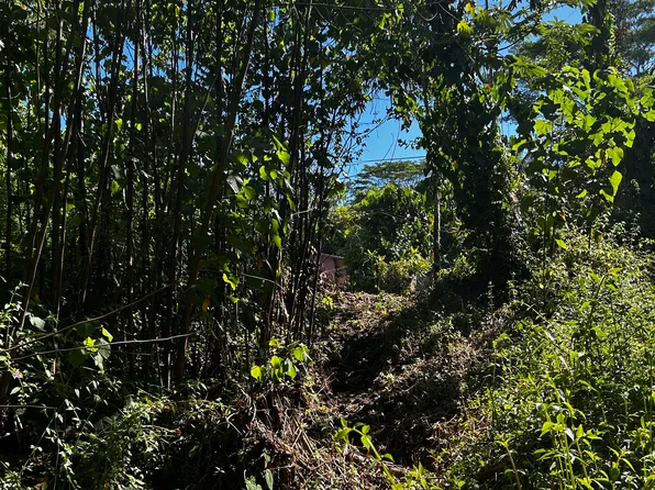 Oopu St Lot 25, Pahoa, HI 96778