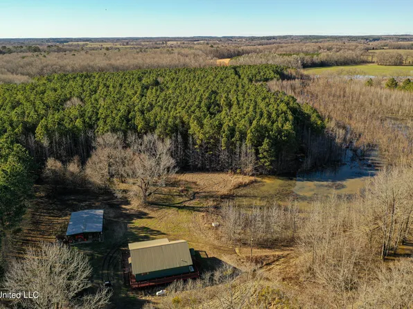 122 County Road 317, Big Creek, MS 38914