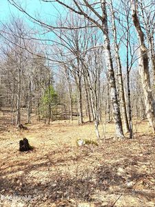 29 Moores Rd, North Adams, MA, 01247