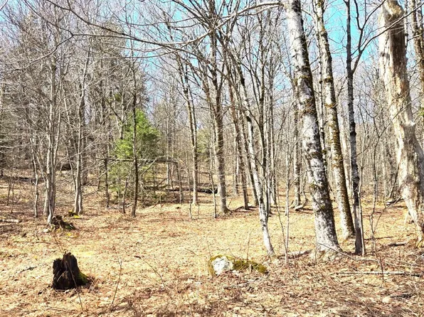 29 Moores Rd, North Adams, MA 01247