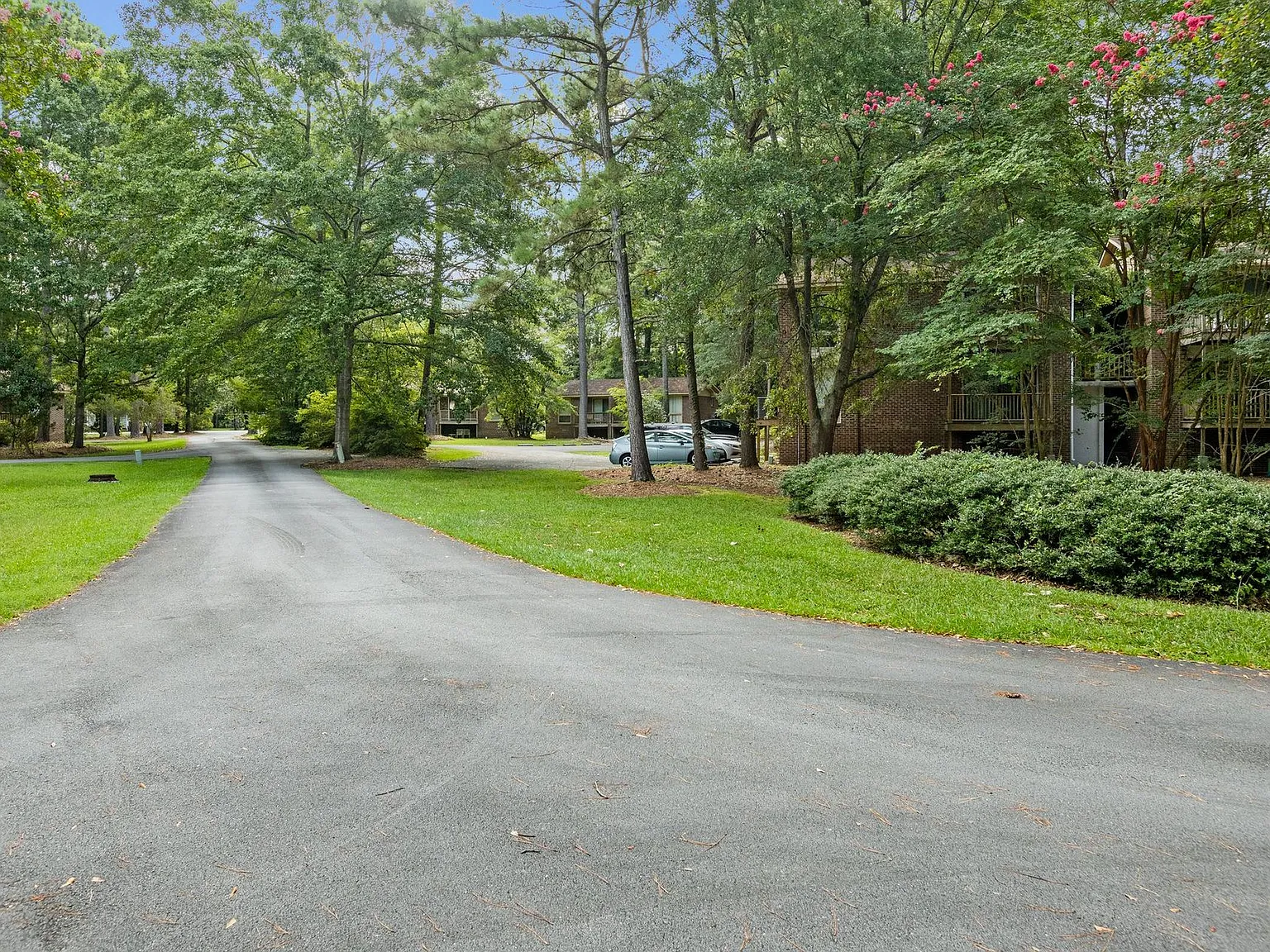 Neuse Woods Apartments — Photo 4