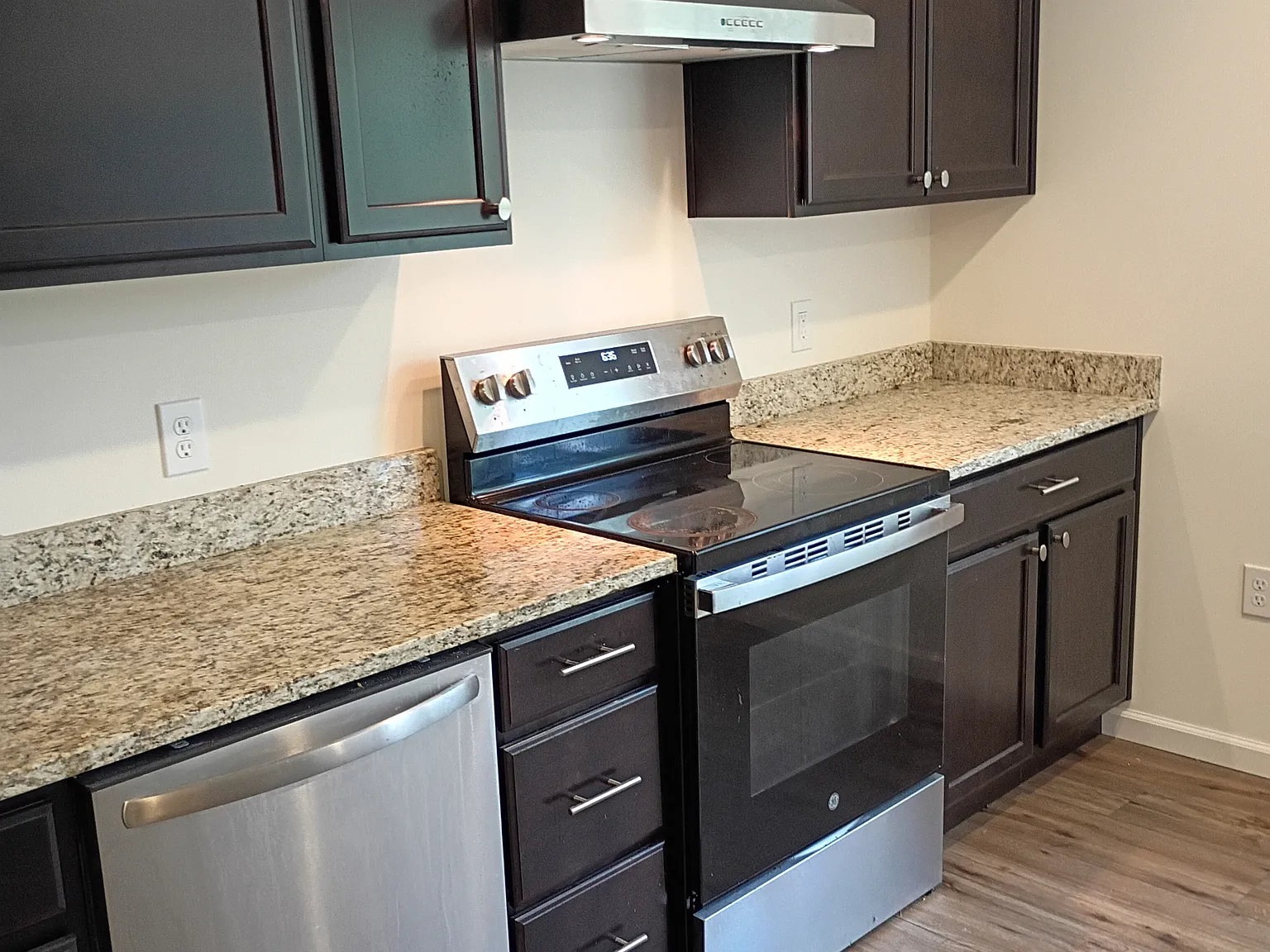 1 bed, $650 — Photo 4