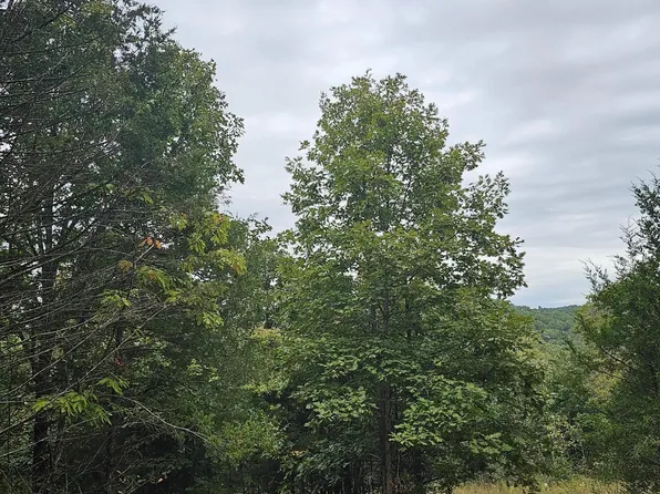 Tbd Enon Road, Omaha, AR 72662