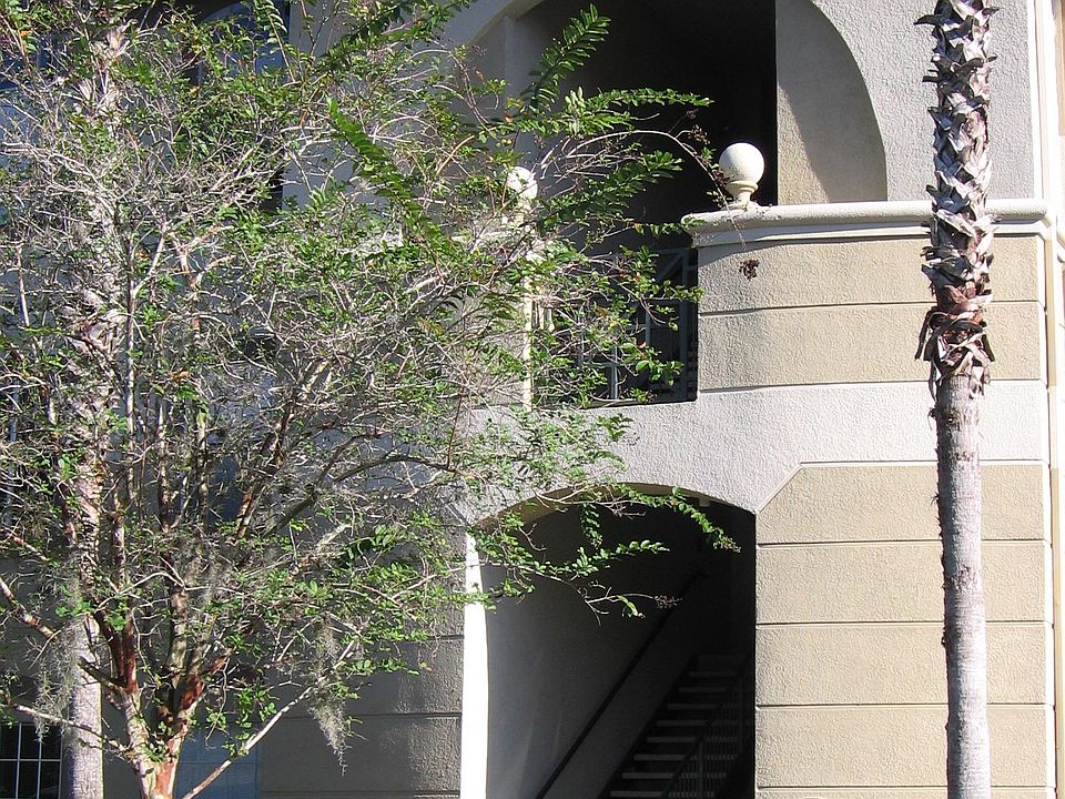 1st image of 17104 Carrington Park Dr APT 532