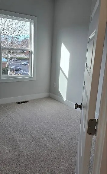 10123 Blue Wing Ln — Photo 21
