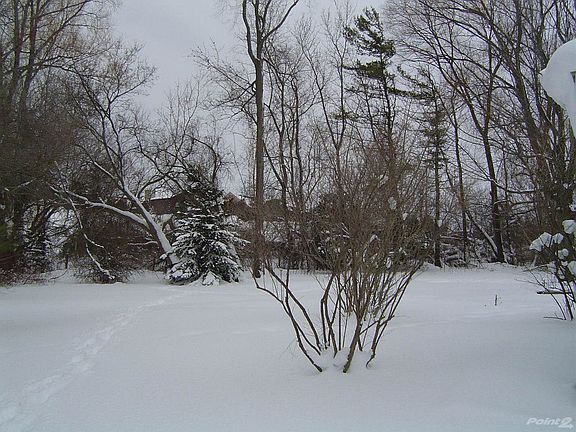 DSC03538