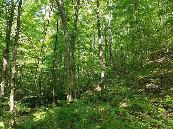 5th image of 0 Old Smoky Mountain Rd