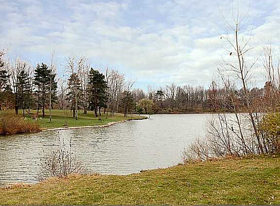 5th image of 7964 Banker Dr