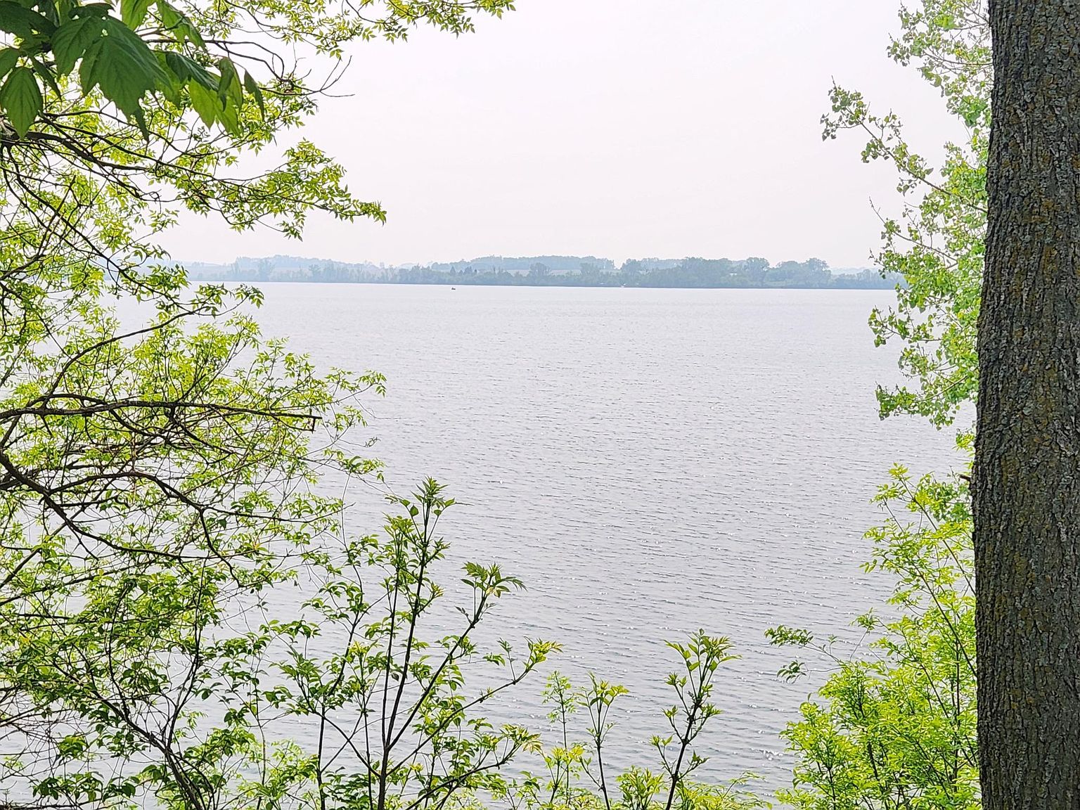 13 Jayvee Ln, Garvin, MN 56132 MLS 6470586 Zillow