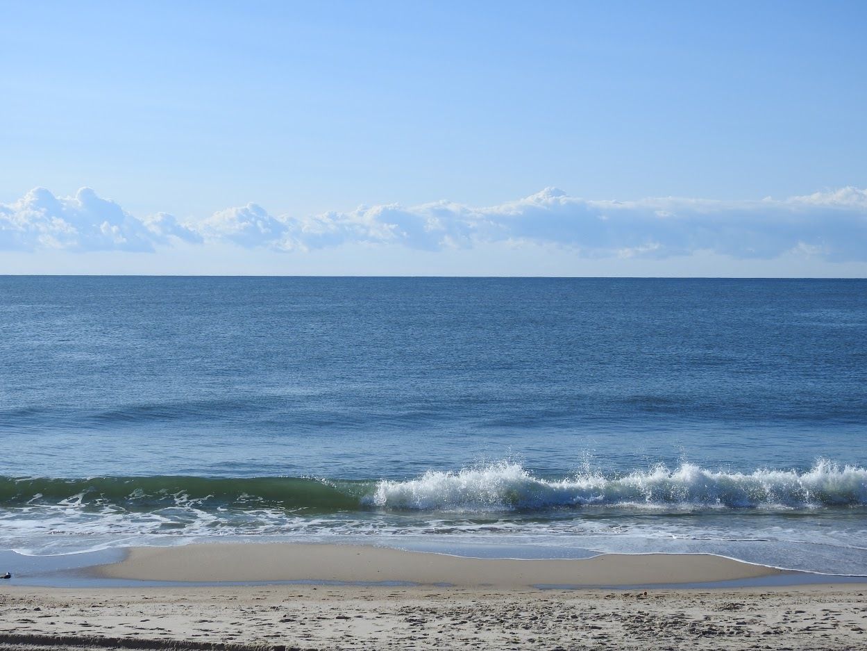  Nearby Ocean Beach