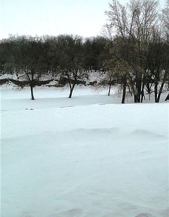 Back yard