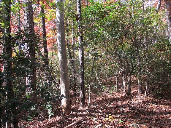 2nd image of Track A Crystal Lake Rd