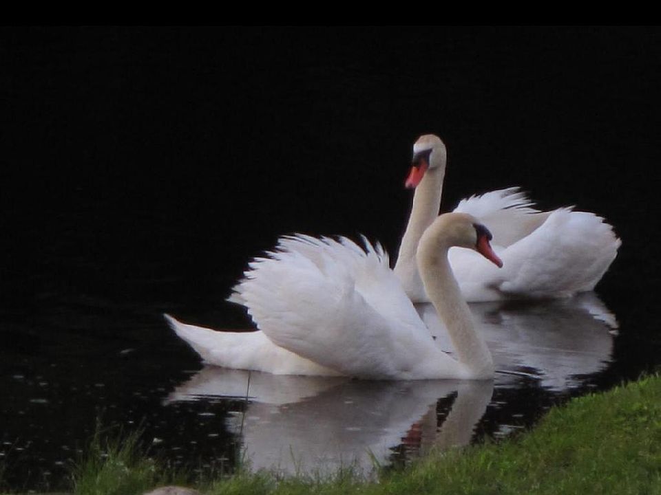 Clearwater Lake 16805 Lake Rd Brookfield, WI Zillow