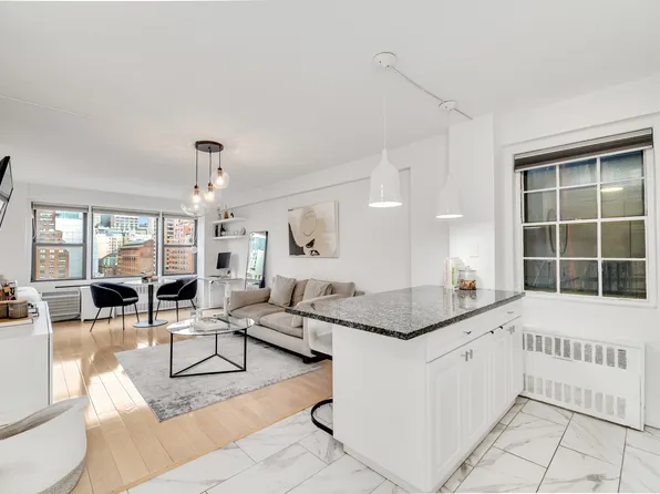 245 East 24th Street 14C image 1 of 12