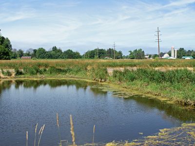 0 W Barnes Rd, Mayville, MI, 48744