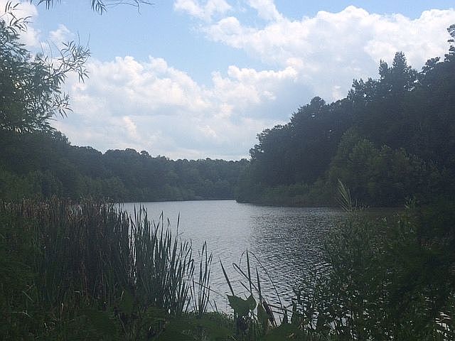 2nd image of 5209 Scenic Ct