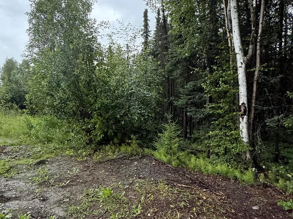 14135 W White Rabbit Cir, Wasilla, AK 99623