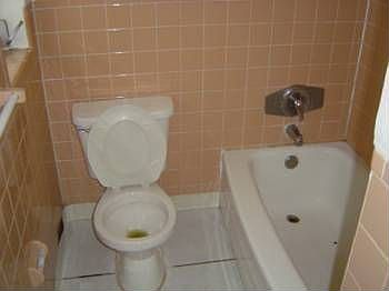 2nd image of 8513 Oak Bluff Dr