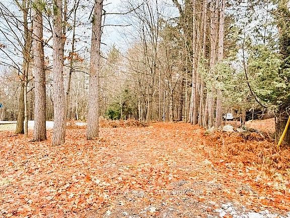 2nd image of 93 Town Line Rd W