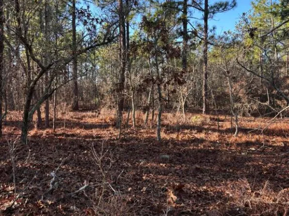 TBD Whitetail Drive, Williston, SC