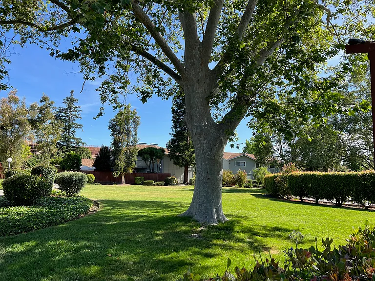 1119 Reed Ave #C — Photo 18