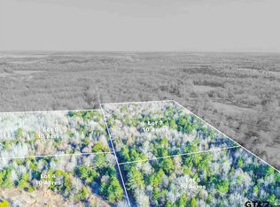 LOT 5 Vz County Road 4931, Ben Wheeler, TX 75754