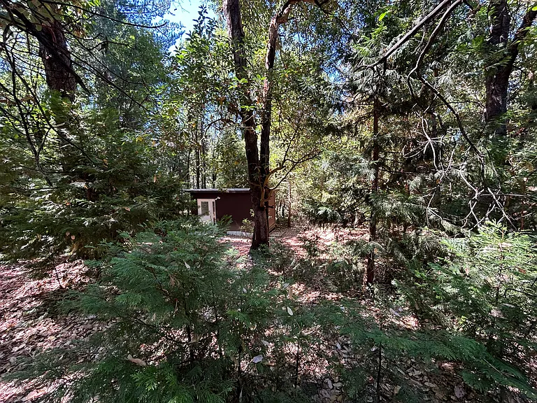 17347 Sunrise Rd — Photo 39