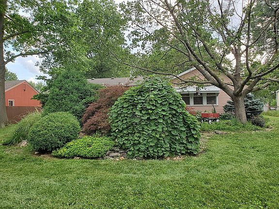 Back Yard Tree Island