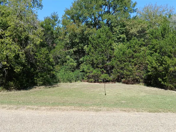 Cedar Elm Dr, Whitney, TX 76692
