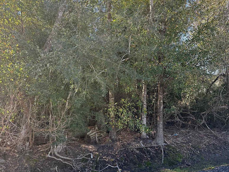 2nd image of Park Rd