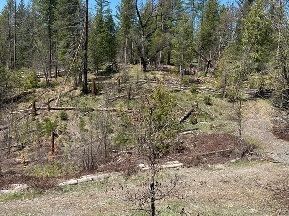 6493 Greeley Hill Rd, Coulterville, CA 95311