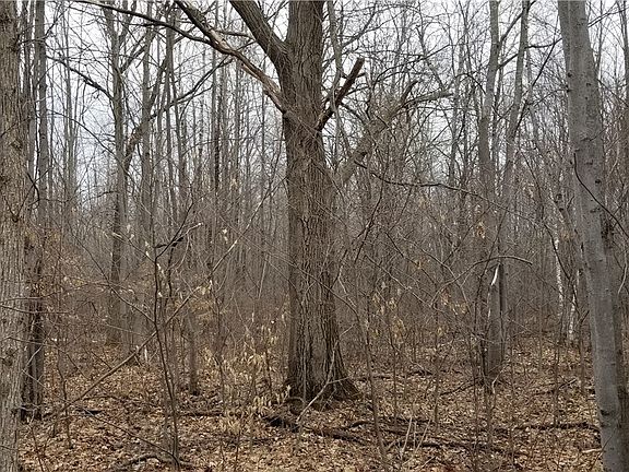 4th image of 001 N Bell School Rd.