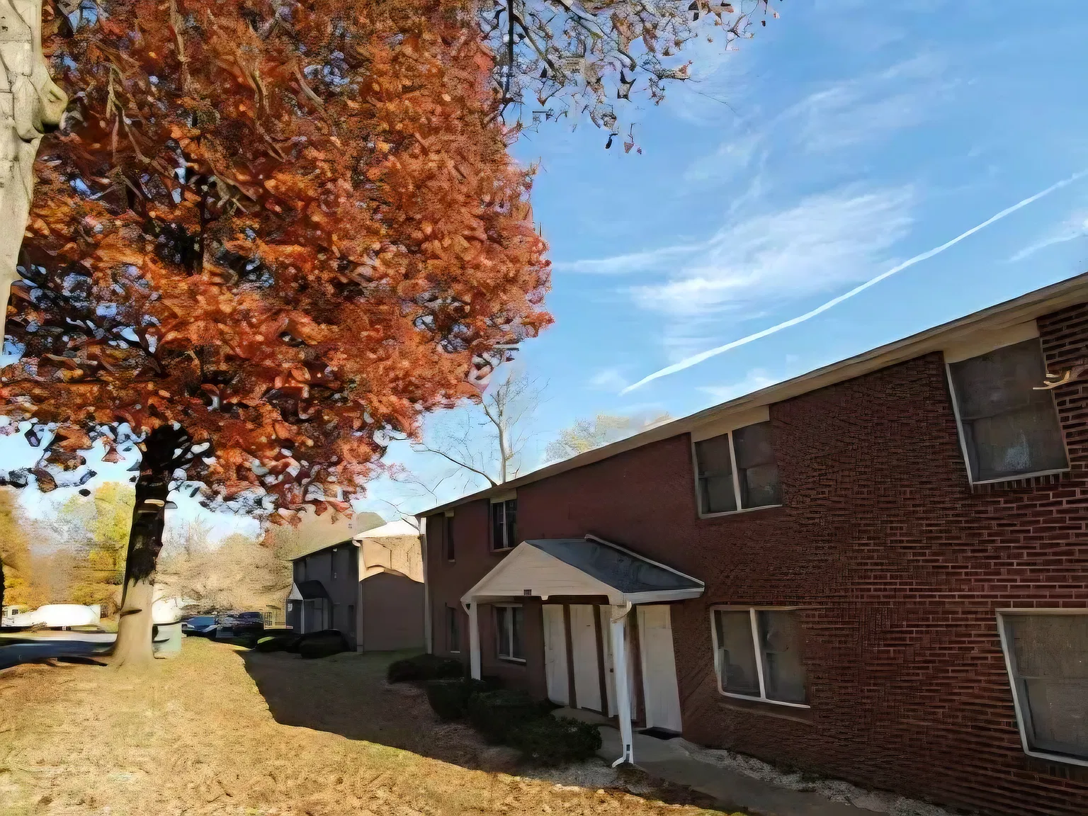 2 bed, $1,500 — Photo 4