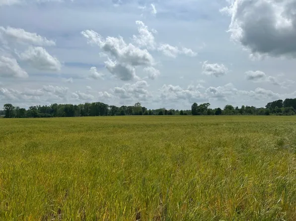 64 Highway, Lexington, AL 35648