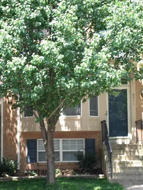 9311 Lindsey Ln photo 1