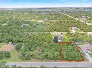 3138 Framingham Ave SW, Palm Bay, FL 32908