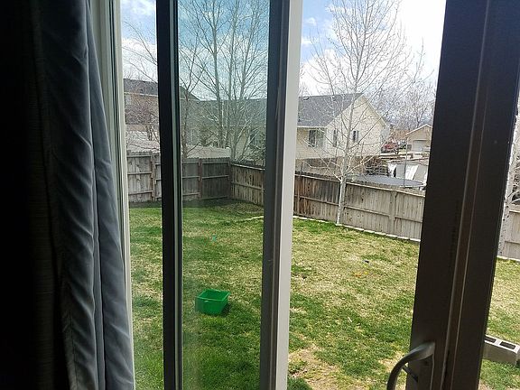 Back yard