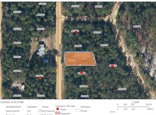 Creager Ave LOT 3, Interlachen, FL 32148