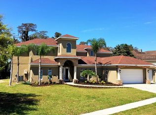 1001 Wyndham Lakes Dr, Odessa, FL 33556
